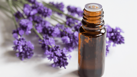 Aromatherapy and Essential Oils in Skincare